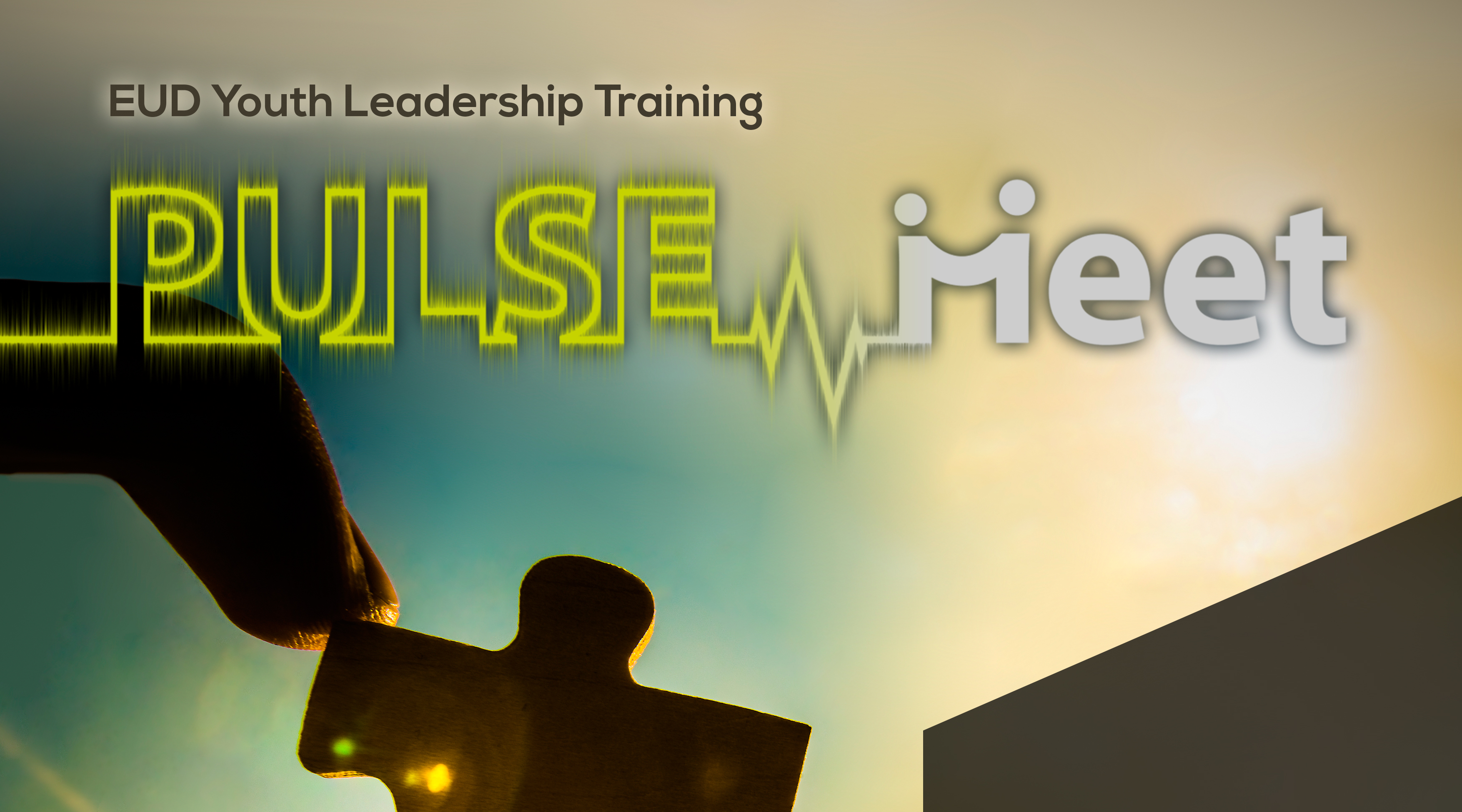 PULSEmeet2019: Sessions & Workshops online!